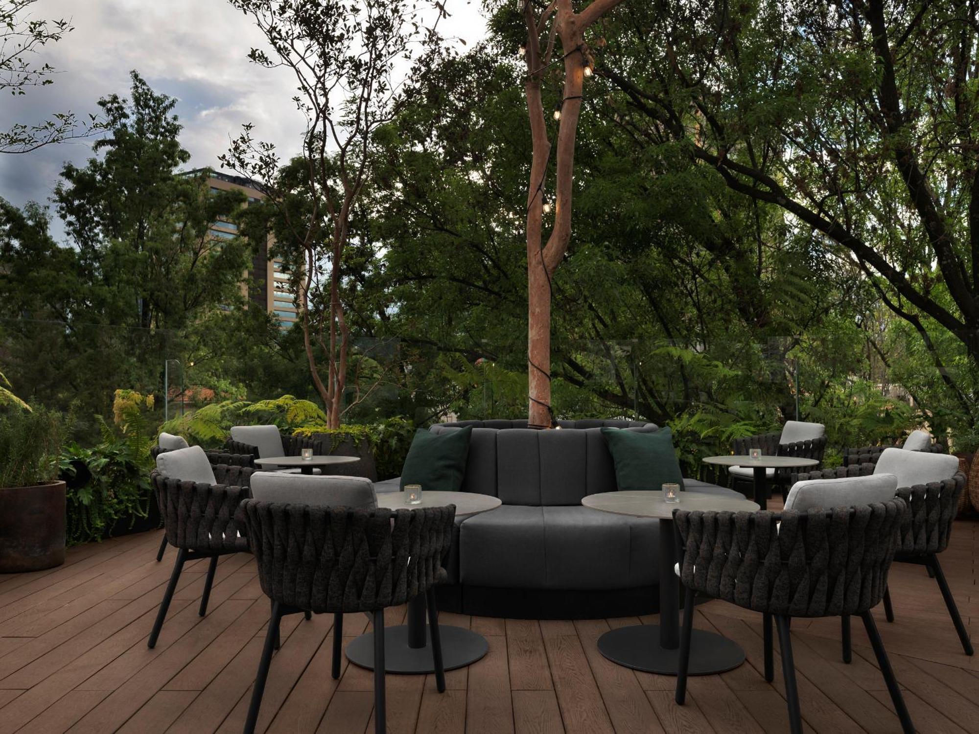 Kimpton Virgilio By Ihg Hotel Ciudad de México Exterior foto