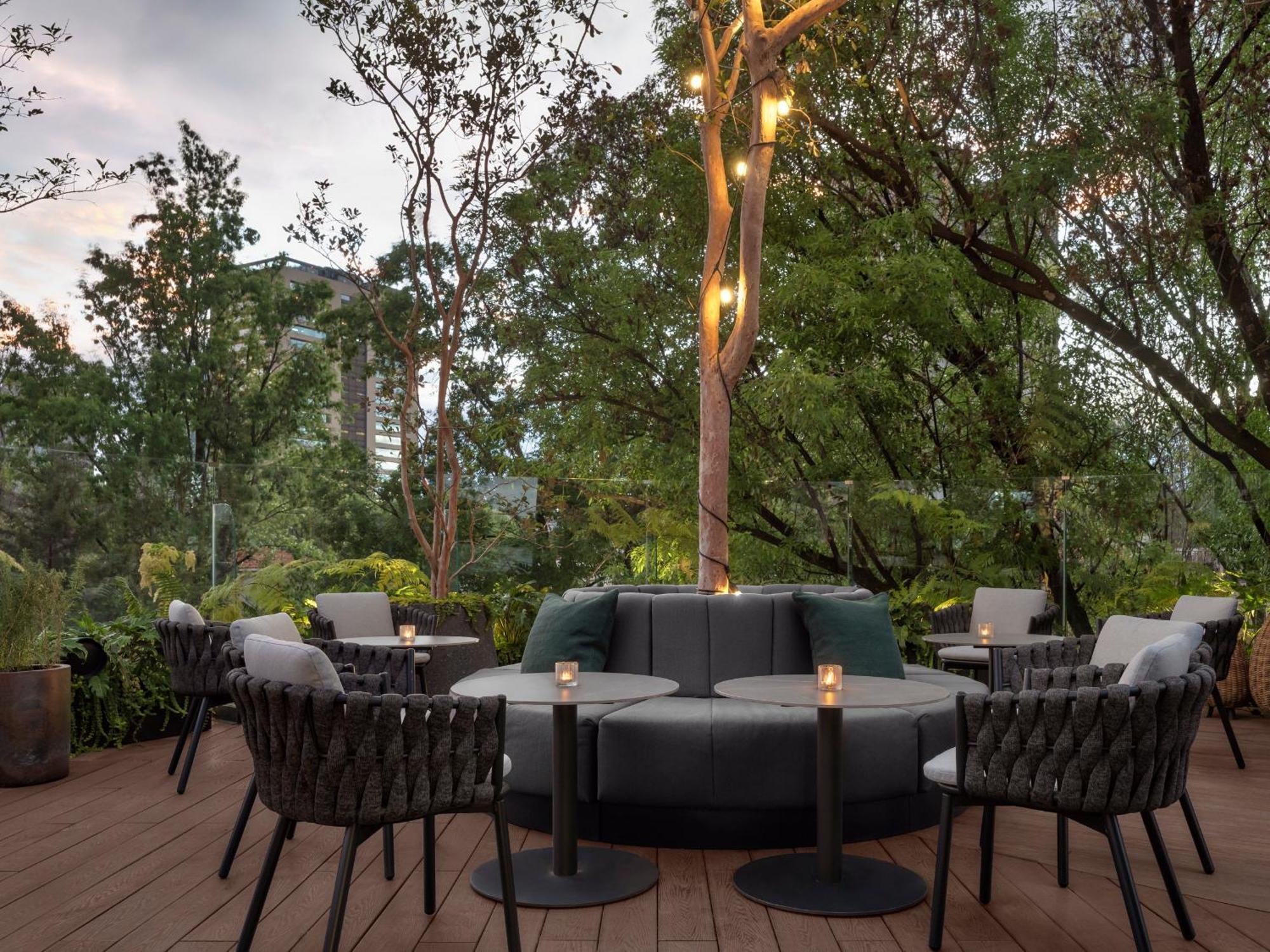 Kimpton Virgilio By Ihg Hotel Ciudad de México Exterior foto